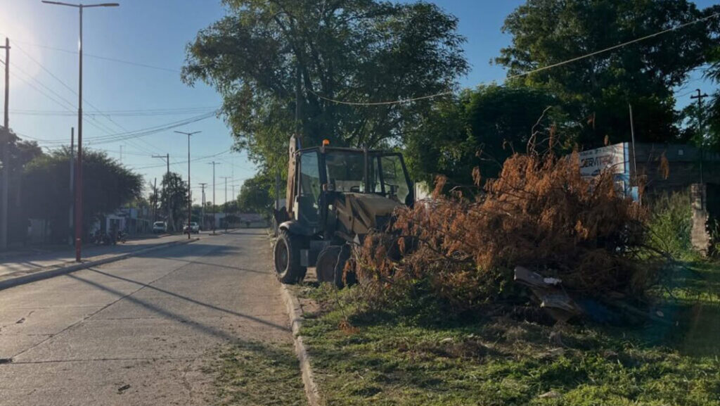 limpieza-monte-quemado
