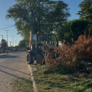 limpieza-monte-quemado