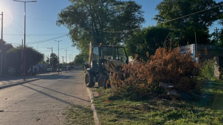 limpieza-monte-quemado