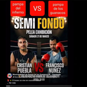 pelea-pampa-de-los-guanacos