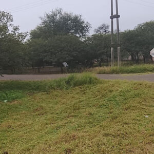 desmalezamiento-el-quemado