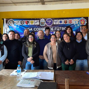 liga-copeña-de-futbol