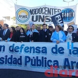 marcha universitaria