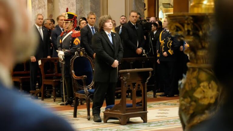 milei senado