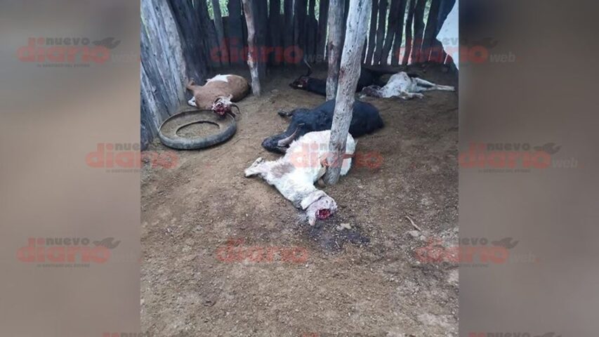 cabras mutiladas moreno