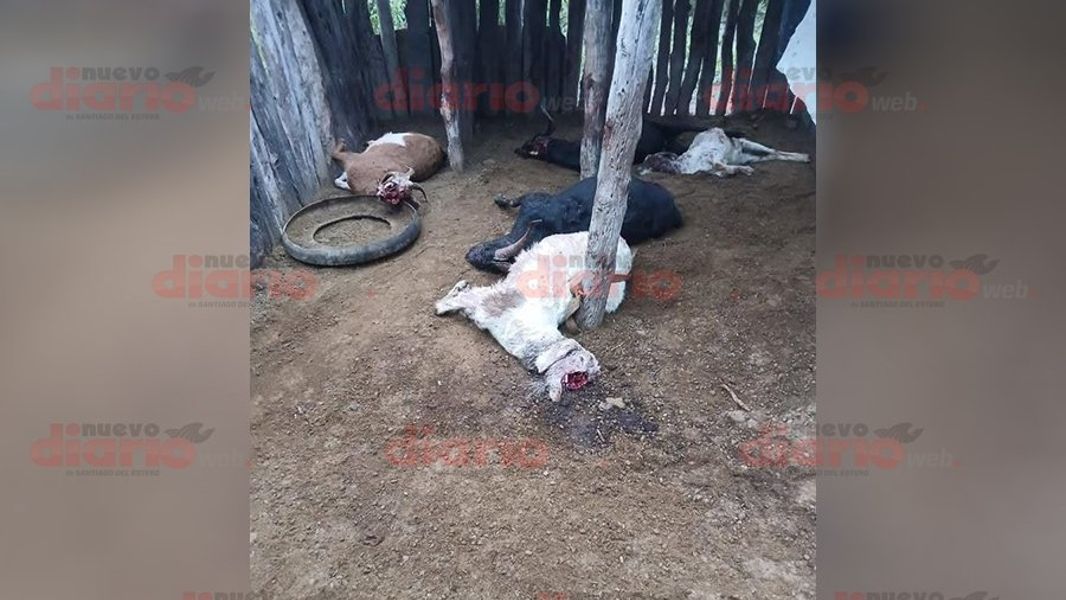 cabras mutiladas moreno