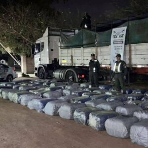 cargamento hojas de coca monte quemado