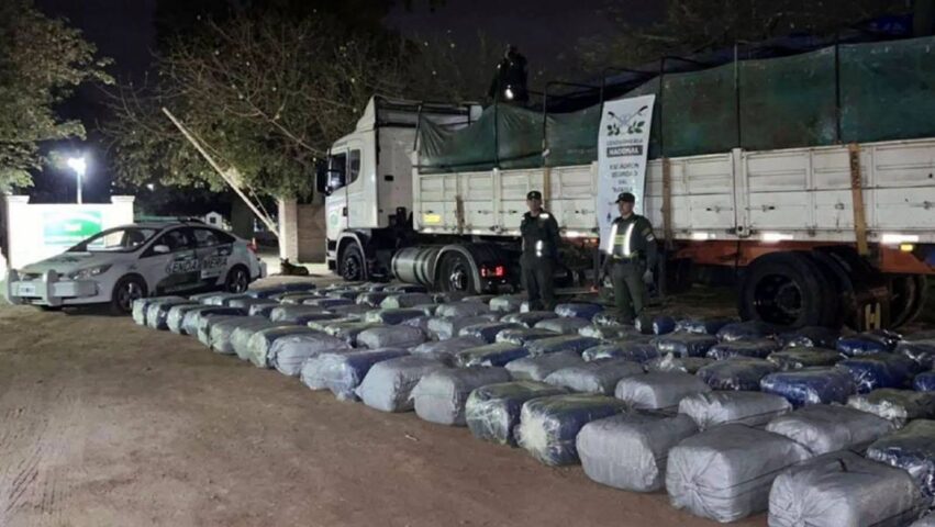 cargamento hojas de coca monte quemado
