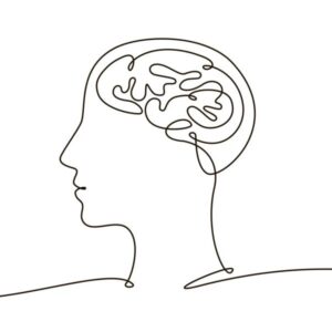istockphoto-2007538019-2048x2048