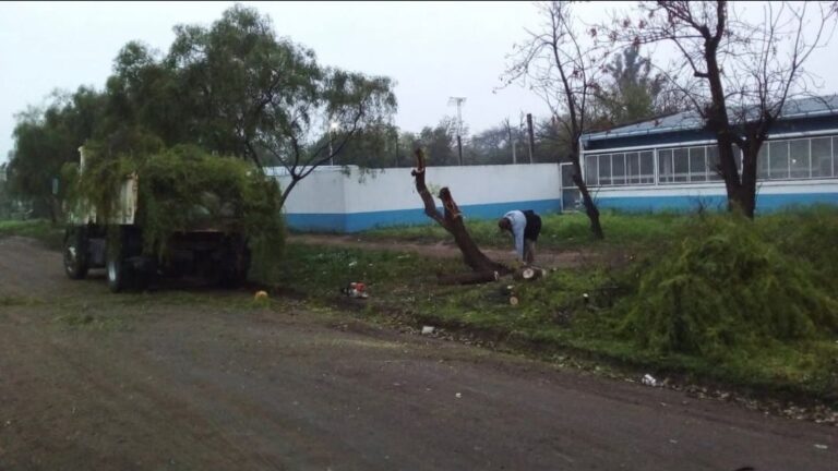 poda colegio sachayoj